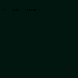00160E - Rich Black [FOGRA29] color image preview