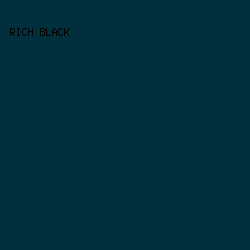 00303E - Rich Black color image preview