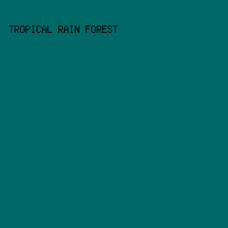 006867 - Tropical Rain Forest color image preview