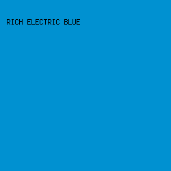 0091D1 - Rich Electric Blue color image preview