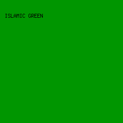 009600 - Islamic Green color image preview