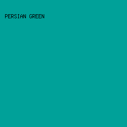 00A199 - Persian Green color image preview