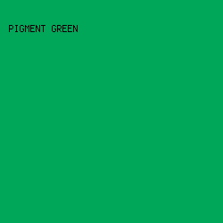 00A758 - Pigment Green color image preview