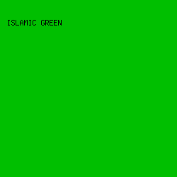 00BF00 - Islamic Green color image preview