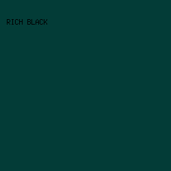 033C37 - Rich Black color image preview