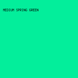 03EE9B - Medium Spring Green color image preview