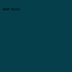 053F4B - Warm Black color image preview
