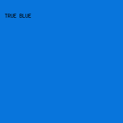 0875DC - True Blue color image preview
