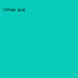 08CBB9 - Tiffany Blue color image preview