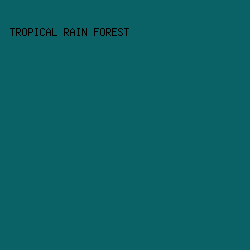 0A6267 - Tropical Rain Forest color image preview