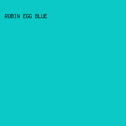 0BC9C6 - Robin Egg Blue color image preview