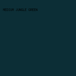 0C2E36 - Medium Jungle Green color image preview