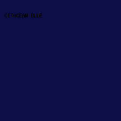0D0E47 - Cetacean Blue color image preview