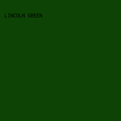 0D4405 - Lincoln Green color image preview