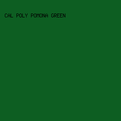 0D5E22 - Cal Poly Pomona Green color image preview