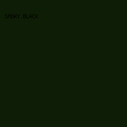0E1D05 - Smoky Black color image preview