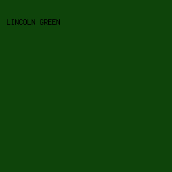 0E440A - Lincoln Green color image preview