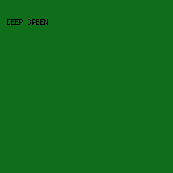 0F6E19 - Deep Green color image preview