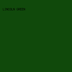 10490B - Lincoln Green color image preview