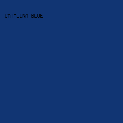 113573 - Catalina Blue color image preview