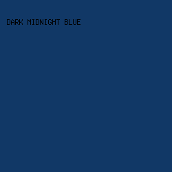 113866 - Dark Midnight Blue color image preview