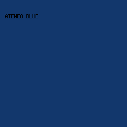 12376C - Ateneo Blue color image preview