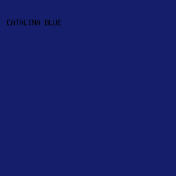 141E6B - Catalina Blue color image preview