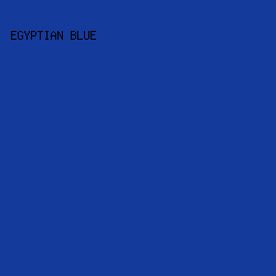 143A9C - Egyptian Blue color image preview