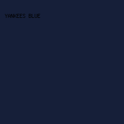 161F39 - Yankees Blue color image preview
