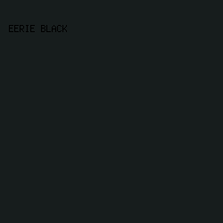 171D1D - Eerie Black color image preview