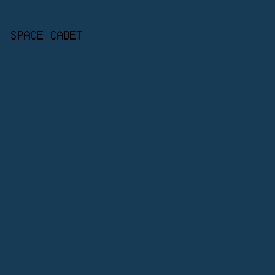 173A55 - Space Cadet color image preview