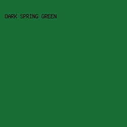 196E38 - Dark Spring Green color image preview