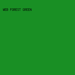 198F24 - Web Forest Green color image preview