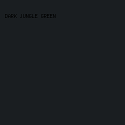 1A1E21 - Dark Jungle Green color image preview