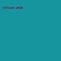 1B95A1 - Viridian Green color image preview