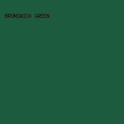 1C5C3D - Brunswick Green color image preview