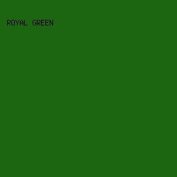 1C6611 - Royal Green color image preview
