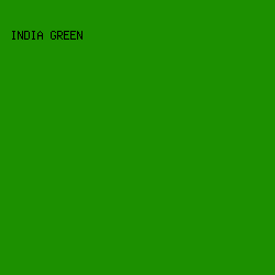 1C9000 - India Green color image preview