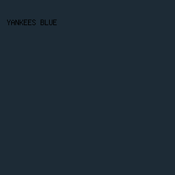 1D2B36 - Yankees Blue color image preview