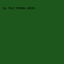 1E571B - Cal Poly Pomona Green color image preview