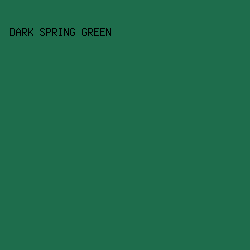 1E6D4C - Dark Spring Green color image preview