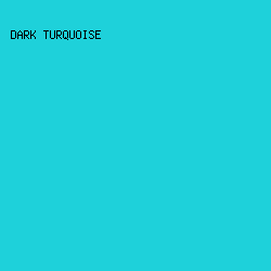 1ED1DA - Dark Turquoise color image preview
