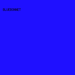 1F10FF - Bluebonnet color image preview