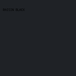 1F2226 - Raisin Black color image preview