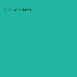 21B5A1 - Light Sea Green color image preview