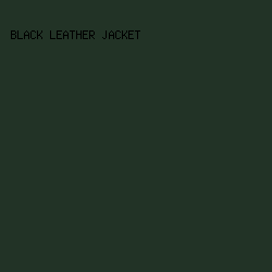 223326 - Black Leather Jacket color image preview