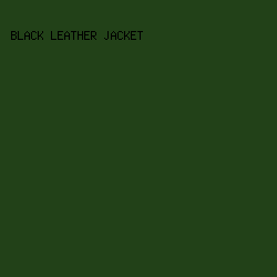224118 - Black Leather Jacket color image preview