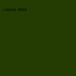 243C02 - Lincoln Green color image preview