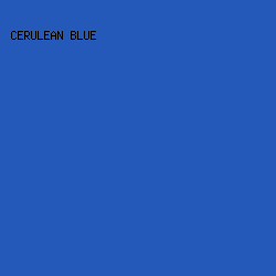 2459B9 - Cerulean Blue color image preview