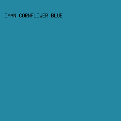 2488A2 - Cyan Cornflower Blue color image preview